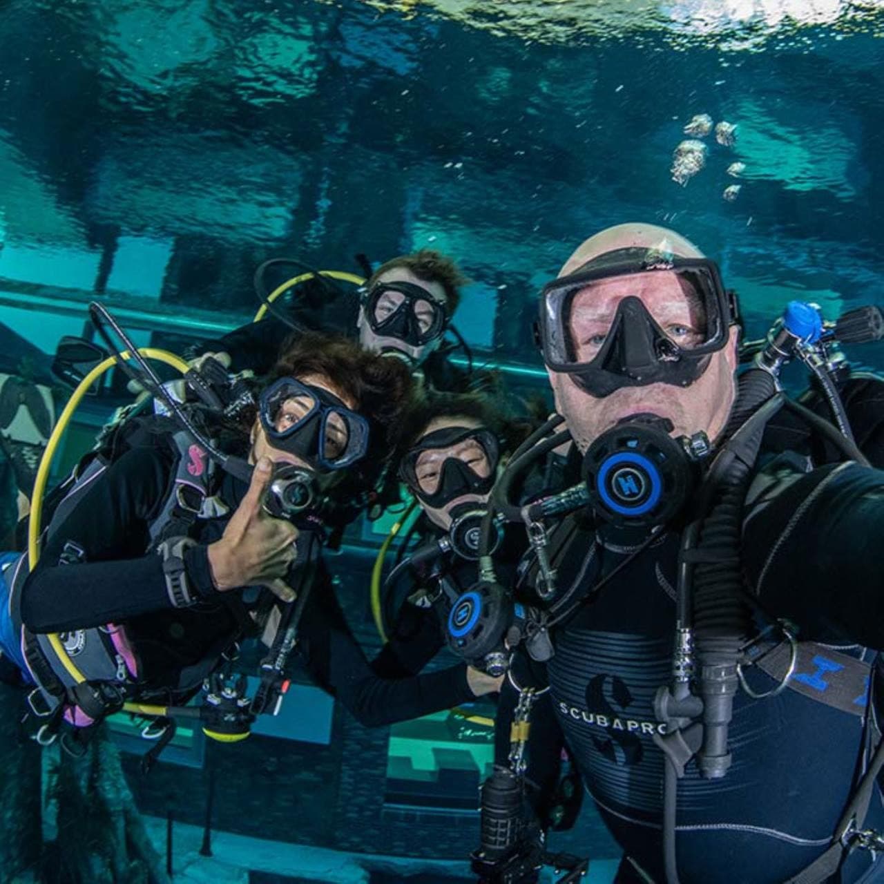 Scuba Diving and Snorkelling at Deep Dive Dubai - image 5