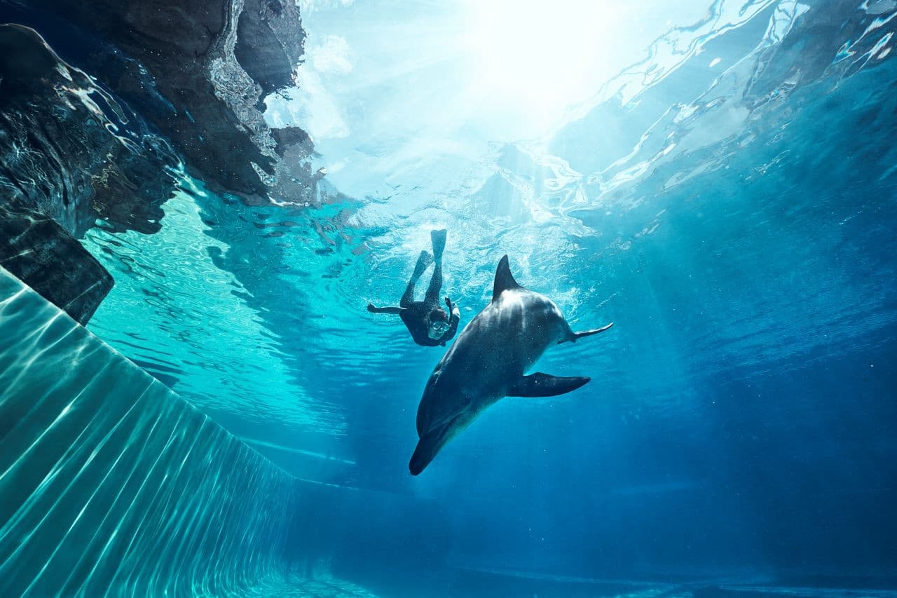 Singapore Oceanarium Ticket - image 13