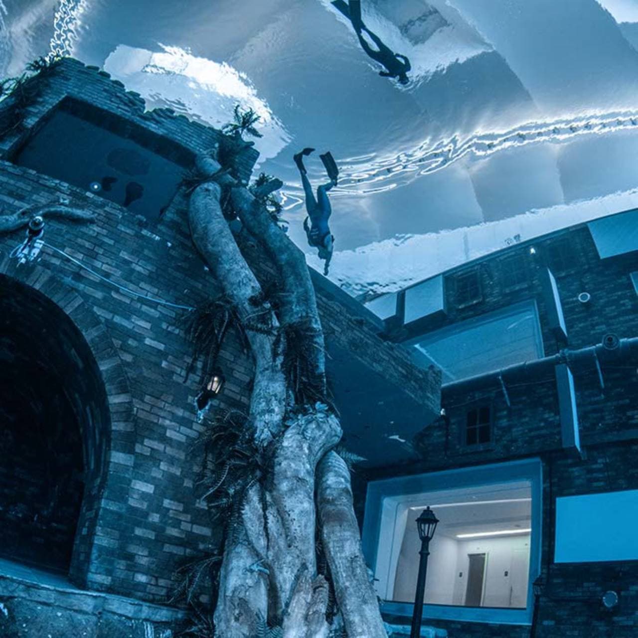 Scuba Diving and Snorkelling at Deep Dive Dubai - image 4