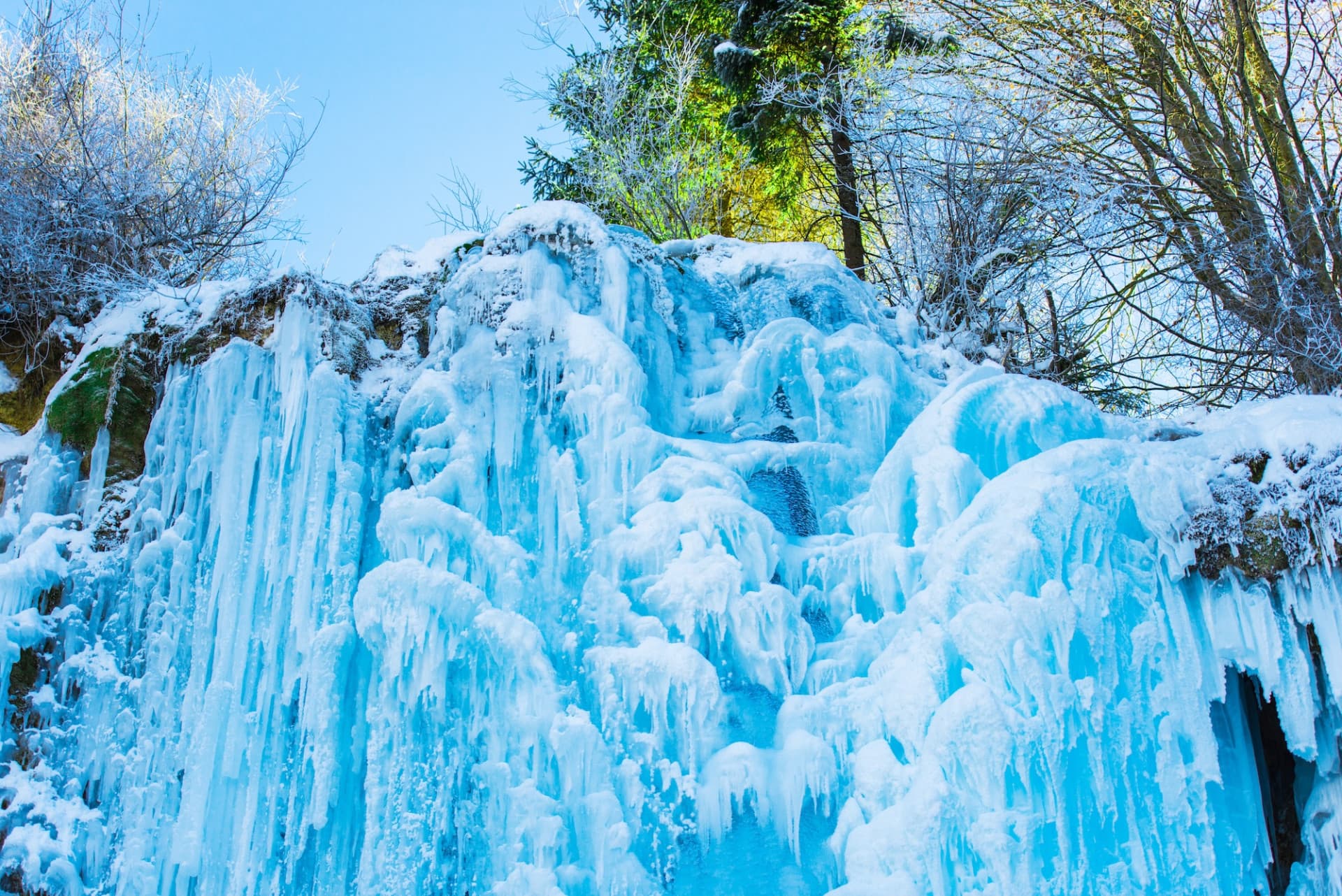 Alpaca World, Nami Island, and Garden of Morning Calm Tour from Seoul - image 17