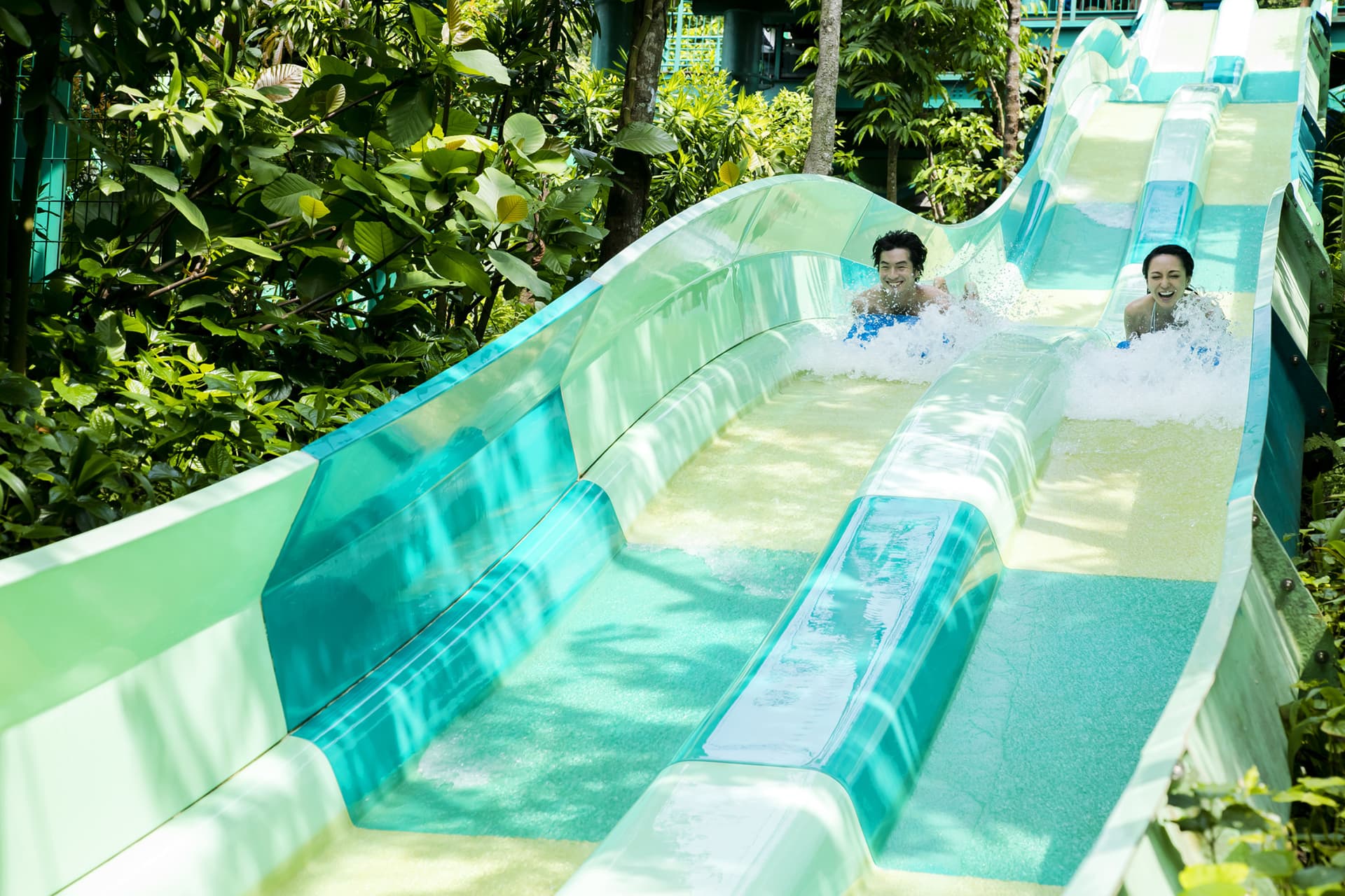 Adventure Cove Waterpark Ticket - image 7